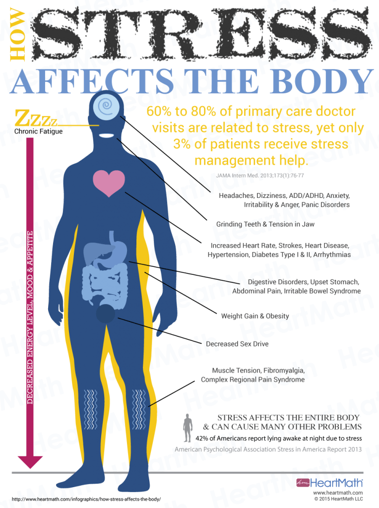 How Stress Affects the Body