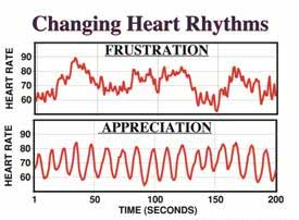 changing heart rhythms