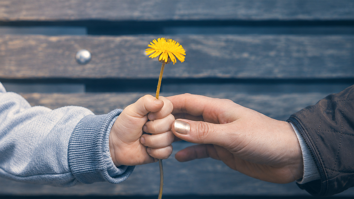 Choosing Kindness