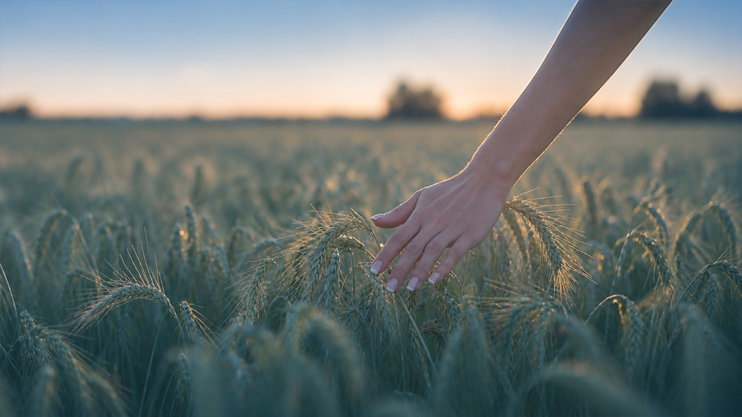 Patience: A Heart Quality for Managing Uncertainty and Staying Resilient