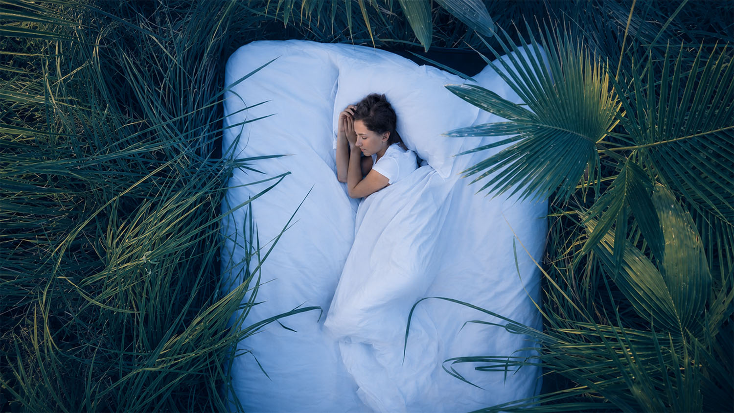 Solution for Overcoming Sleeplessness