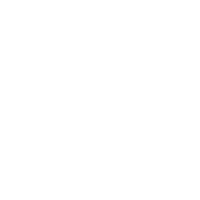  Stanford Logo