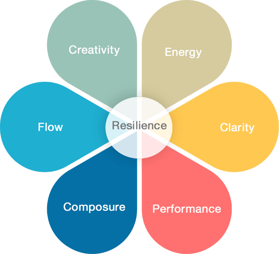 Resilience diagram